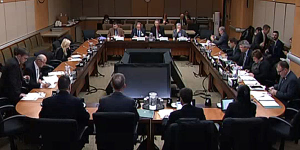 Screenshot of parliamentary standing committee