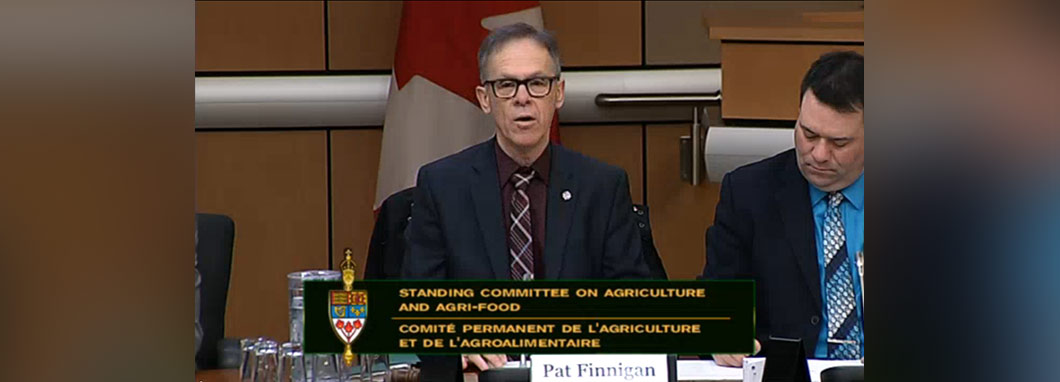 Pat Finnigan, Chair of Standing Committee on Agriculture and Agri-Food.