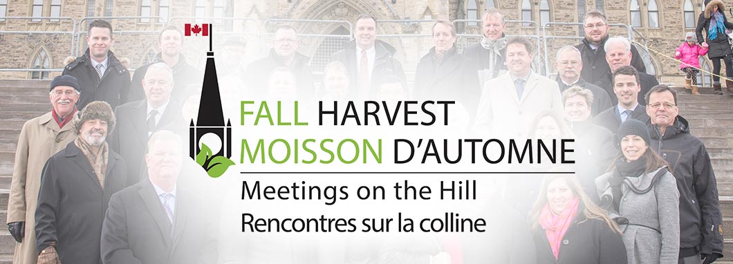 Fall harvest logo