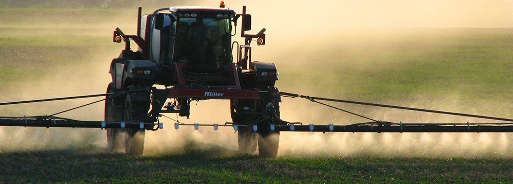 Le CCH consulte ses membres au sujet de l’interdiction des pesticides à base d’imidaclopride proposée par le fédéral (Admire®, Merit™, Genesis™)