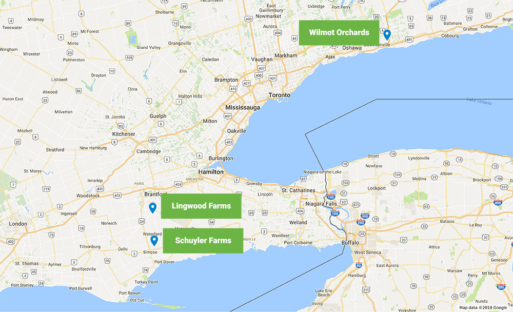 Labour Campaign Update – Hyperactive shoots 3 farms in Southern Ontario