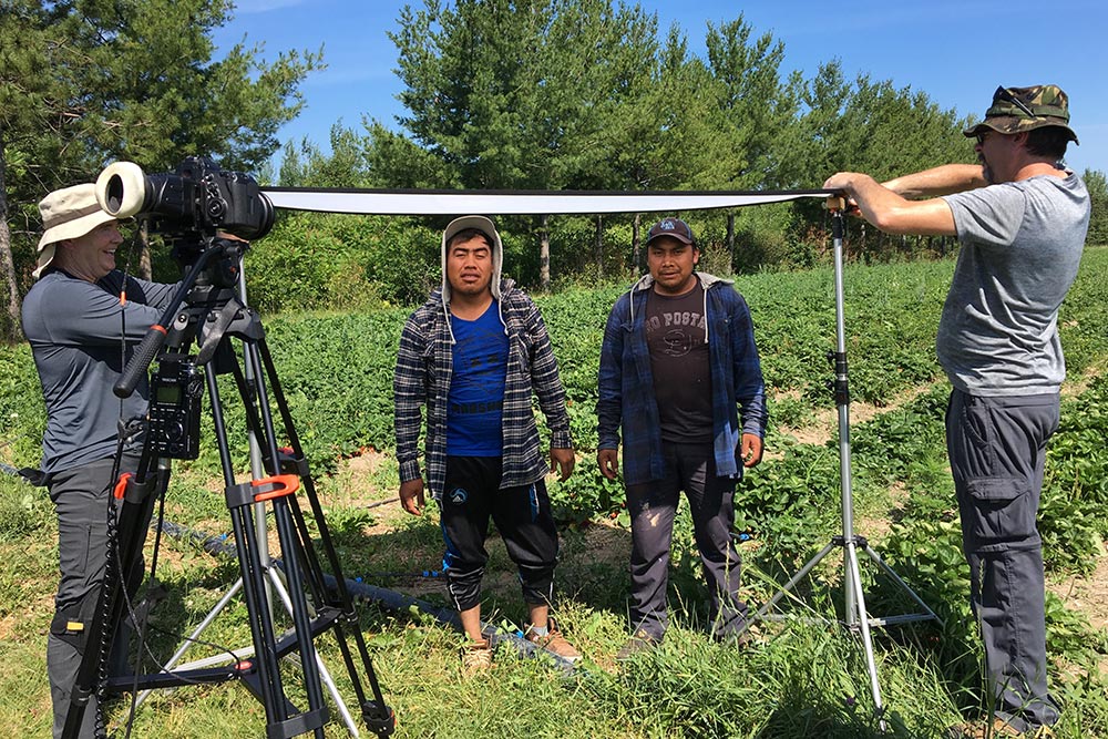 Workers at quinn farm interview