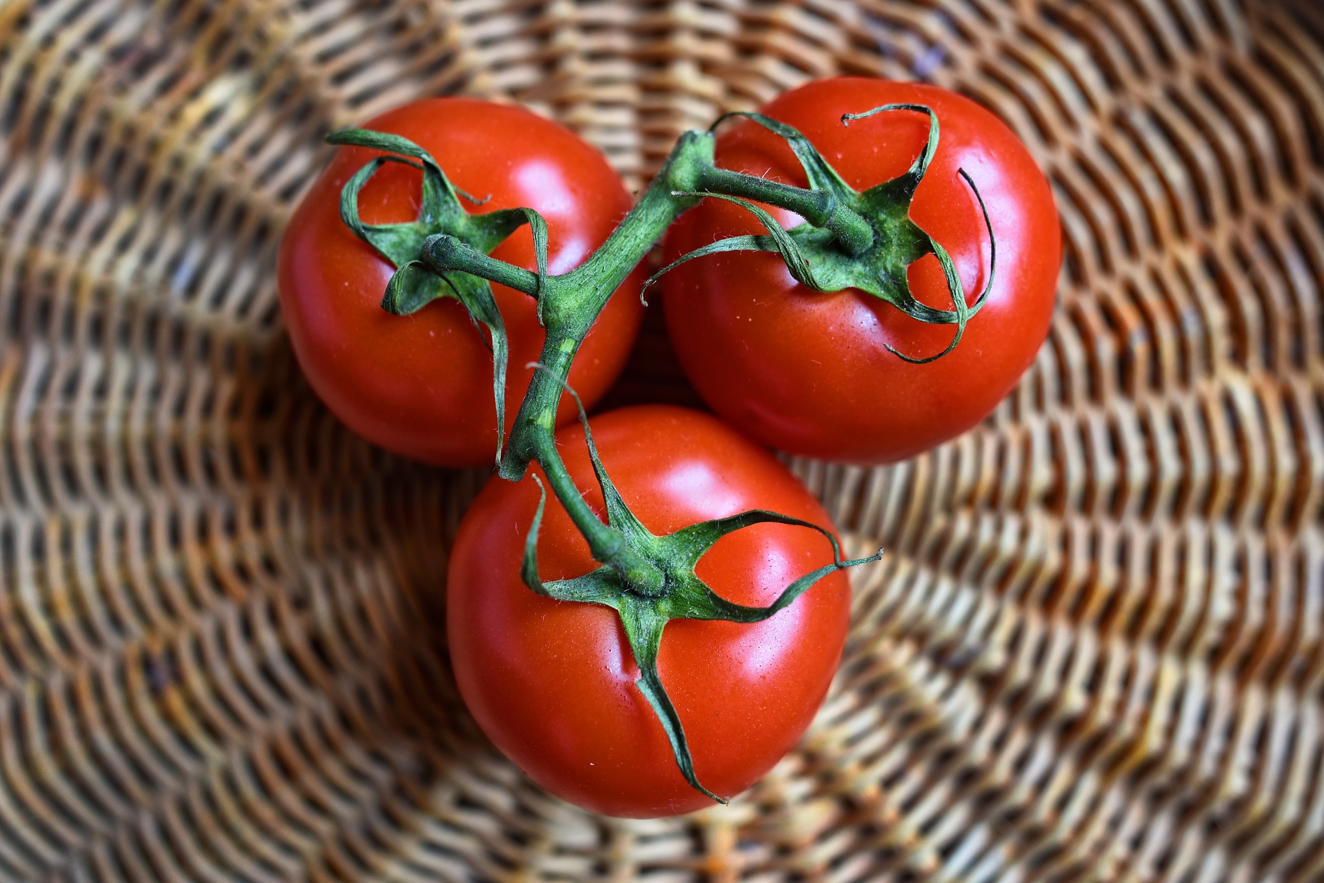 Menace de virus – Virus du fruit rugueux de la tomate brune (ToBRFV)