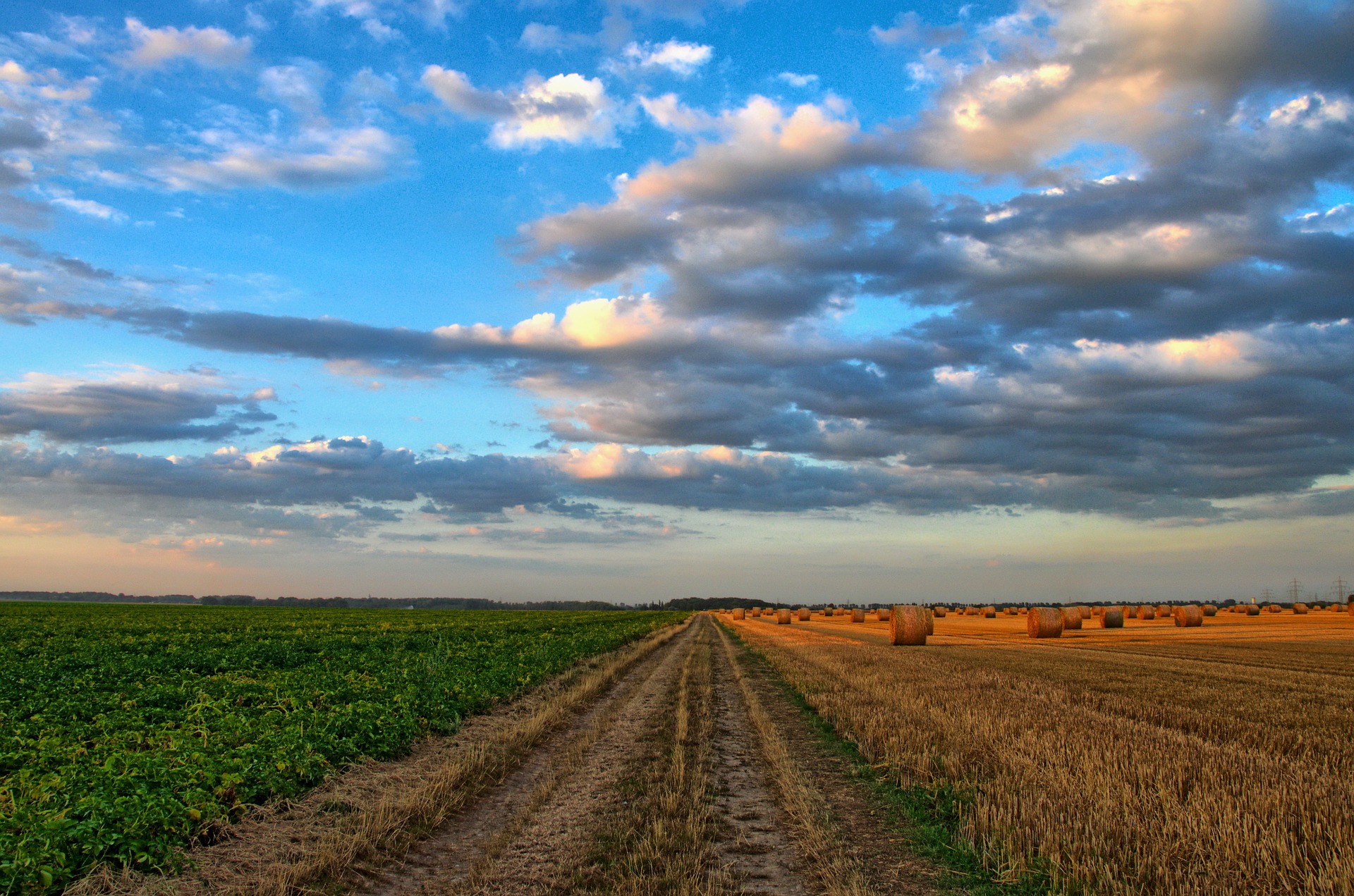 Blogue invité: Les arguments en faveur de l’implication proactive de l’industrie agricole canadienne dans la gestion de la résistance aux pesticides
