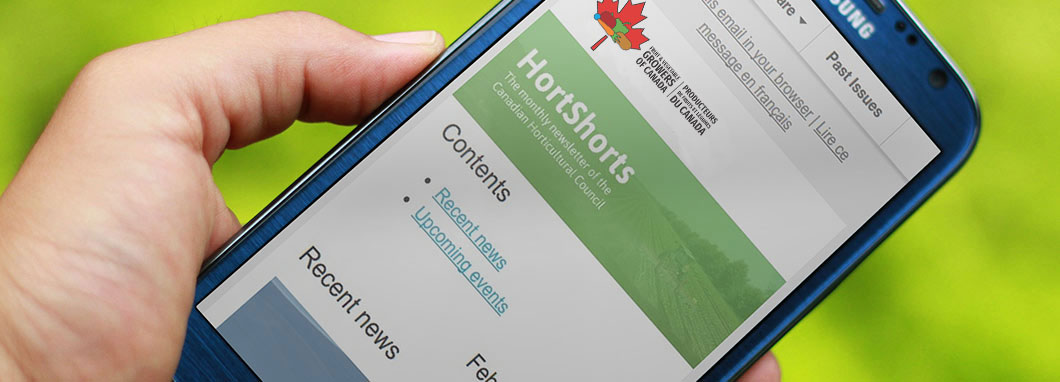 HortShorts displayed on a mobile phone
